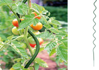 5 مم قطرها سلك زراعة الطماطم 1.6 متر ارتفاع لولبية مجلفنة